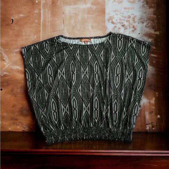 Ellen Tracy Blouse Ellen tracy green multicolors stamps top blouse size Large - Picture 5 of 16